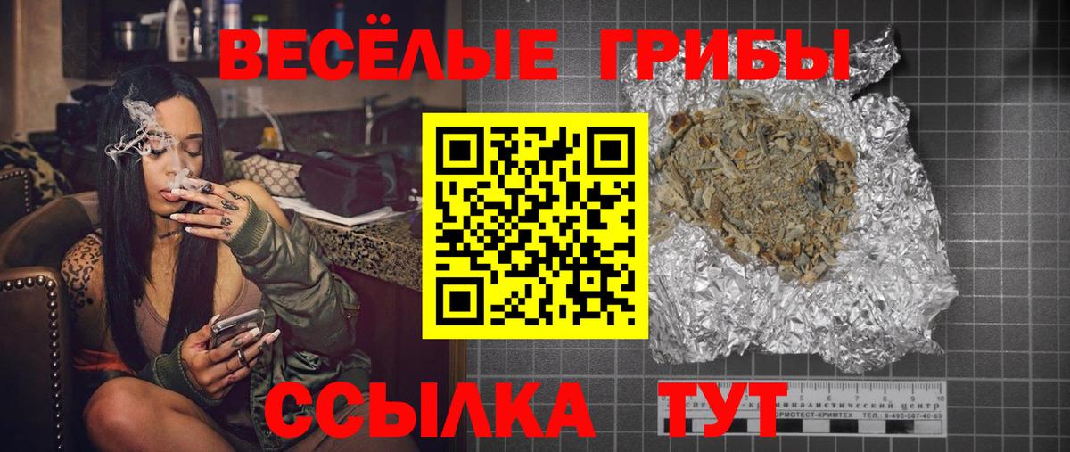 Галлюциногенные грибы Psilocybe Лесосибирск