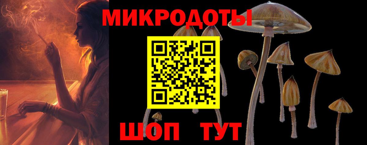 Псилоцибиновые грибы Cubensis  Вход с VPN  Лесосибирск  Галлюциногенные грибы Cubensis 